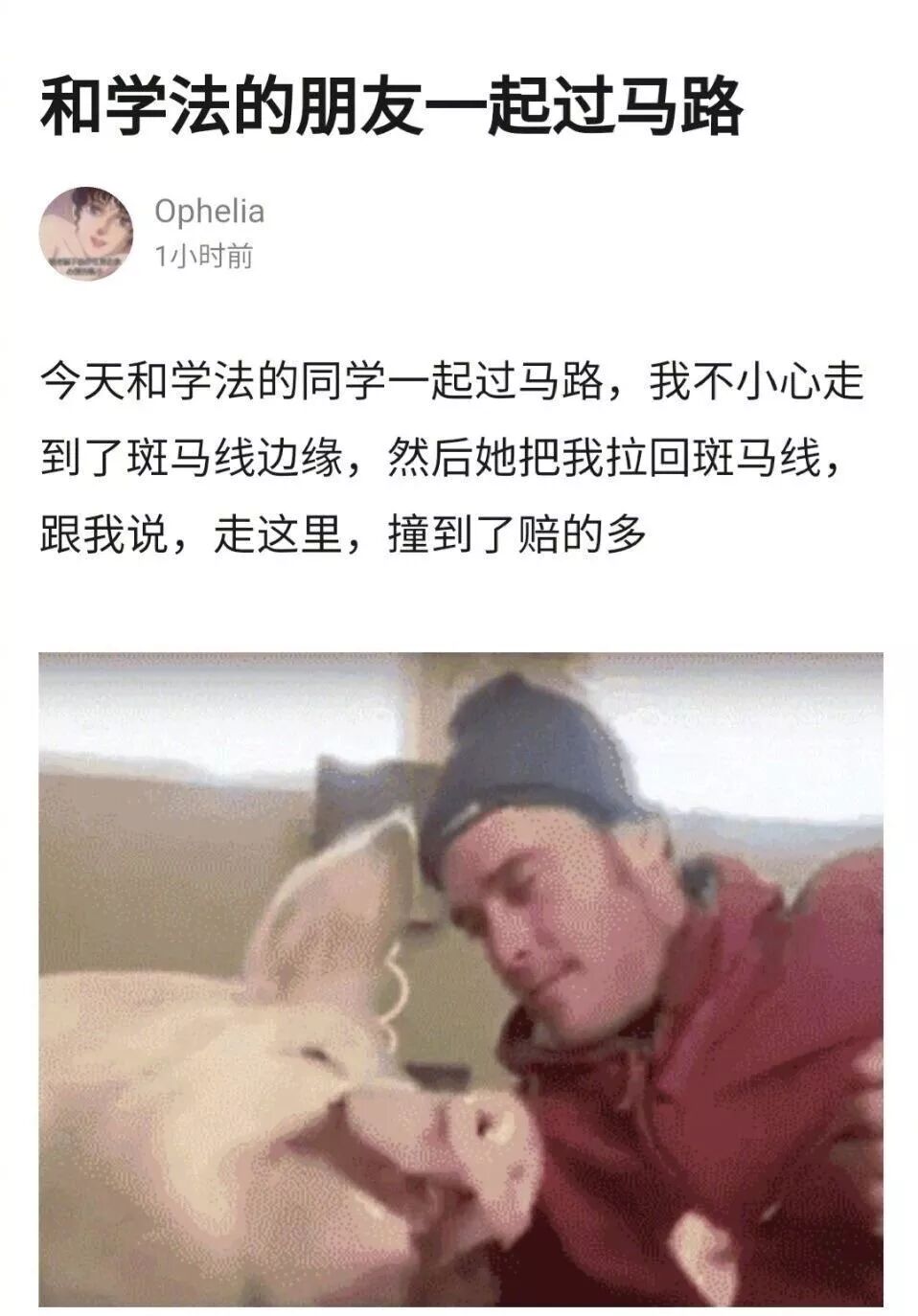 【爆笑】朋友圈被年度账单刷屏！网友：别人炫富我却被娜扎一句话扎心了？哈哈哈哈哈（视频/组图） - 46