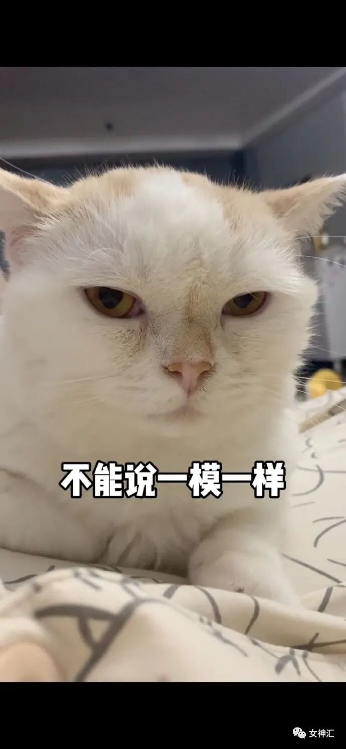 【爆笑】“23岁女明星当小3开F遭正宫抓包？渣男留遗书自杀？”网友：损到家了！（组图） - 21