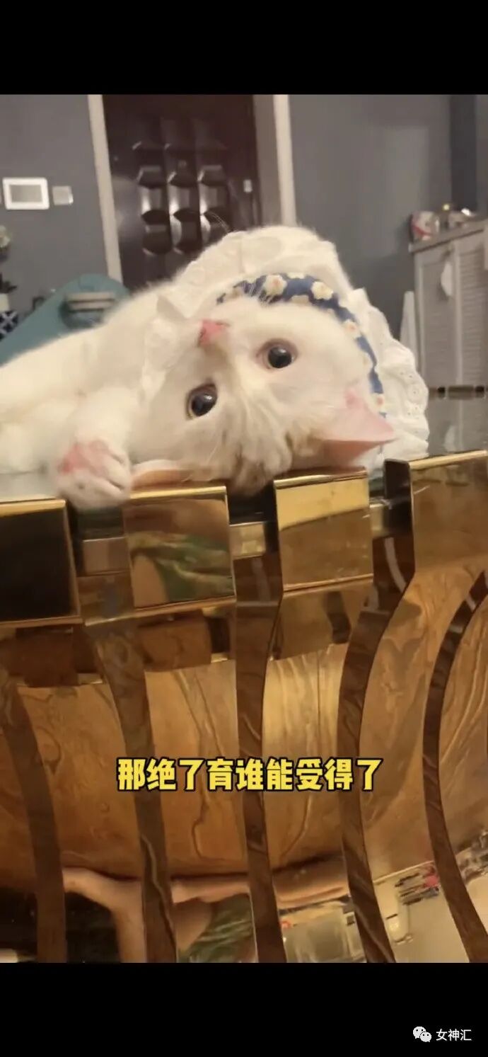 【爆笑】“23岁女明星当小3开F遭正宫抓包？渣男留遗书自杀？”网友：损到家了！（组图） - 18