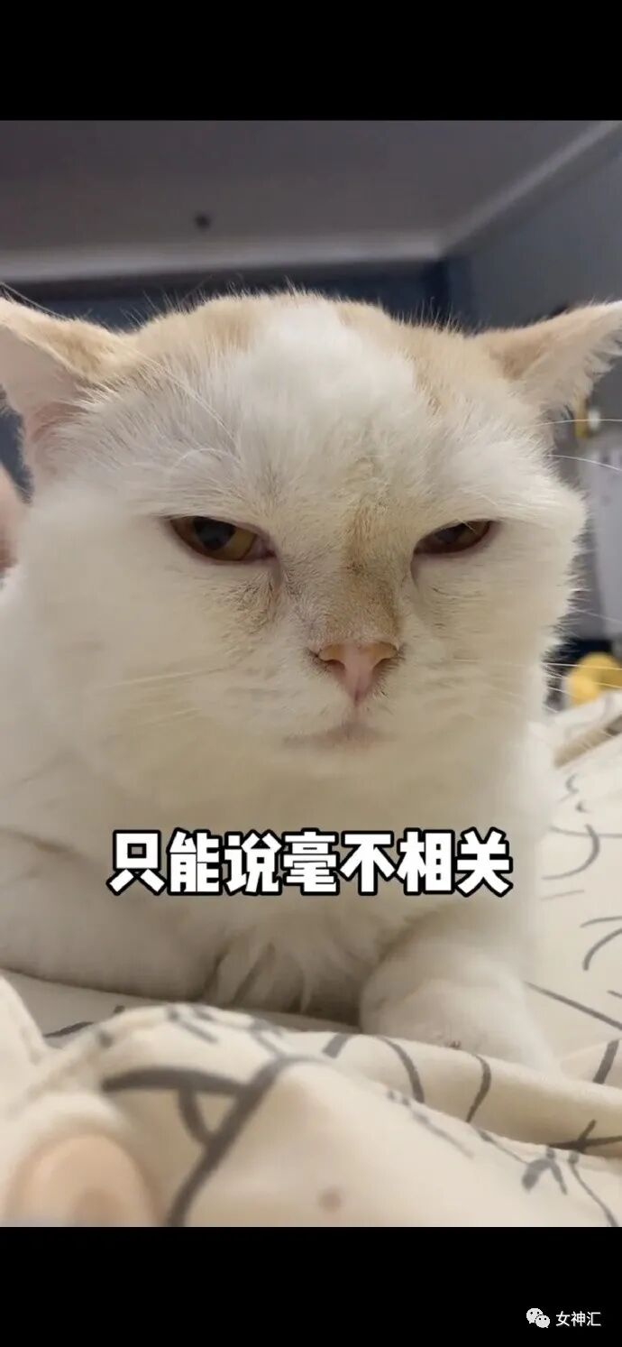 【爆笑】“23岁女明星当小3开F遭正宫抓包？渣男留遗书自杀？”网友：损到家了！（组图） - 22