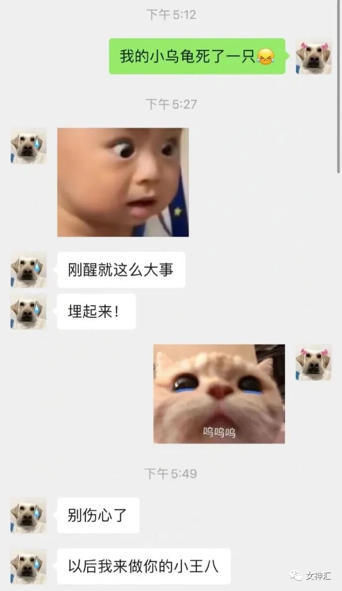 【爆笑】周杰伦发新歌后的朋友圈意外流出..？网友笑疯：哈哈哈放过郎朗吧！（组图） - 33