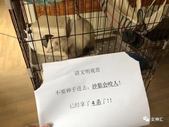 【爆笑】“我严重怀疑贾玲在模仿我奶奶？”哈哈哈这届沙雕网友评论亮瞎眼！（组图） - 46