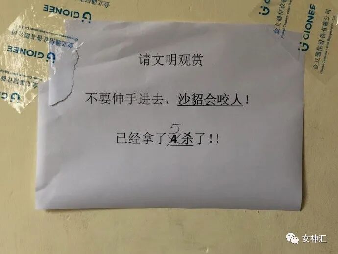 【爆笑】“我严重怀疑贾玲在模仿我奶奶？”哈哈哈这届沙雕网友评论亮瞎眼！（组图） - 47