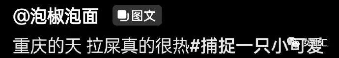 【爆笑】“张天爱放录音手撕渣男出轨！娜扎不是小三！”网友无语：这男的何德何能啊？（组图） - 38