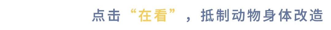 「我愛貓，所以帶它去做了這場手術…」 寵物 第30張