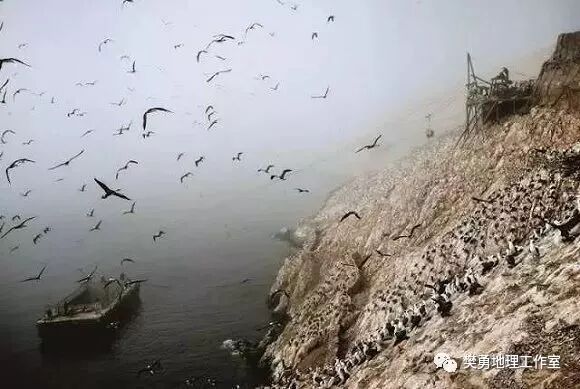 厄尔尼诺对秘鲁渔场的_秘鲁渔场_秘鲁渔场形成的条件是