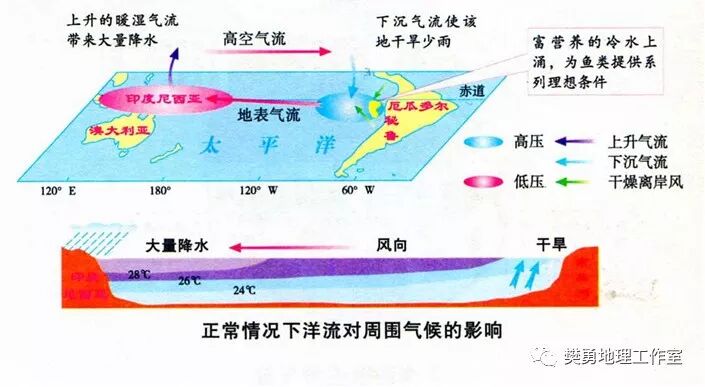 秘鲁渔场_秘鲁渔场形成的条件是_厄尔尼诺对秘鲁渔场的