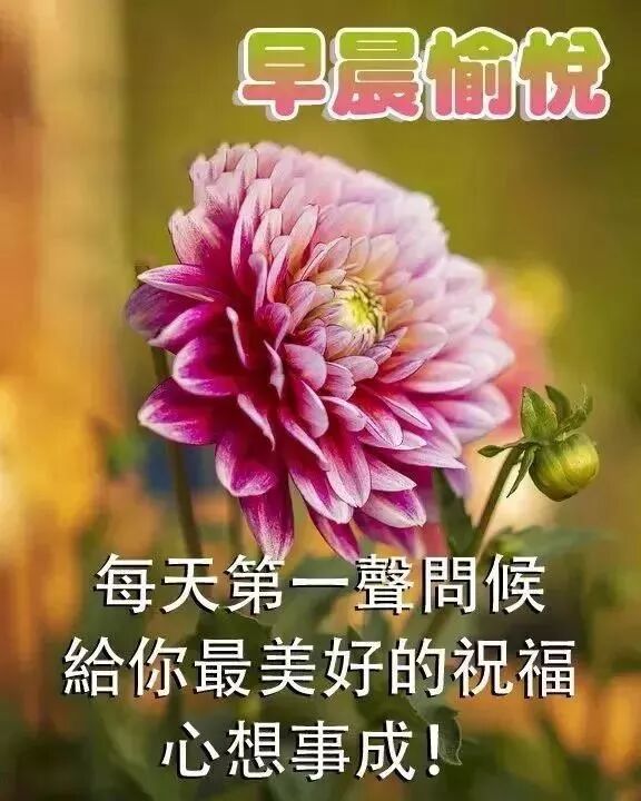 10月18日问候早上好图片带字动态表情早上好图片问候祝福语句子 励志正能量早安心语 微信公众号文章阅读 Wemp
