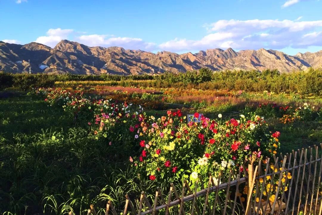 【媒体看土右】土默特右旗：敕勒川上的璀璨明珠