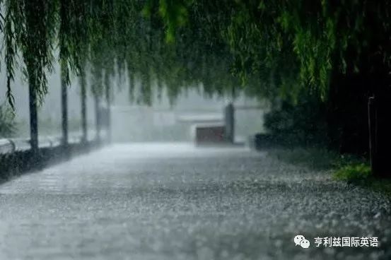 下猫下狗 It S Raining Cats And Dogs 亨利兹国际英语 微信公众号文章阅读 Wemp