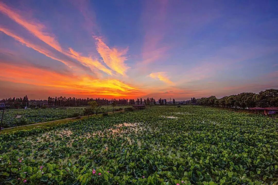 临平4个村入选浙江省善治示范村名单出炉