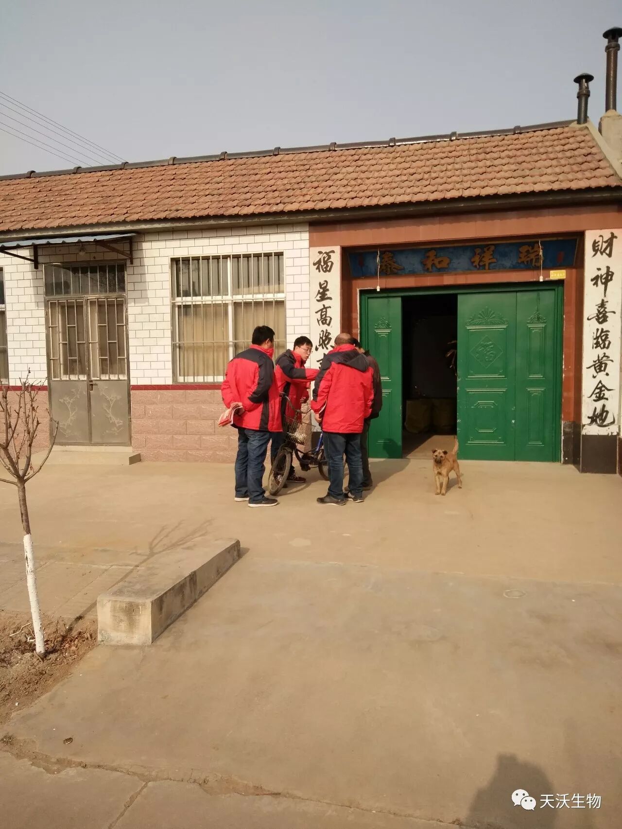 天鹿微生物聚能菌剂