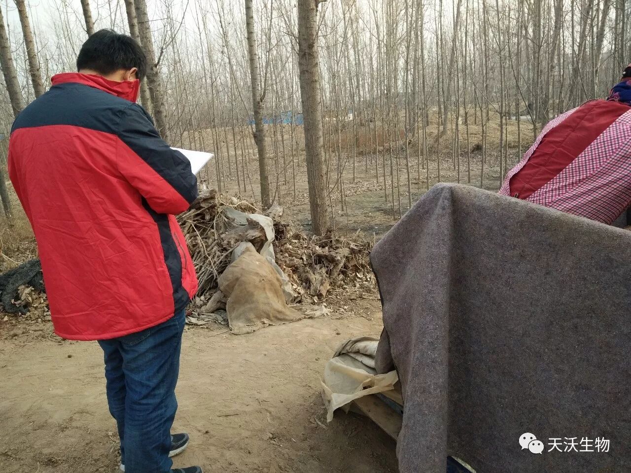 天鹿微生物聚能菌剂