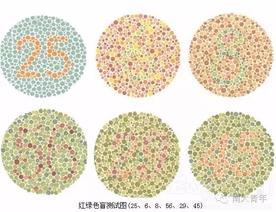 南大老司机驾考宝典没时间解释了快上车