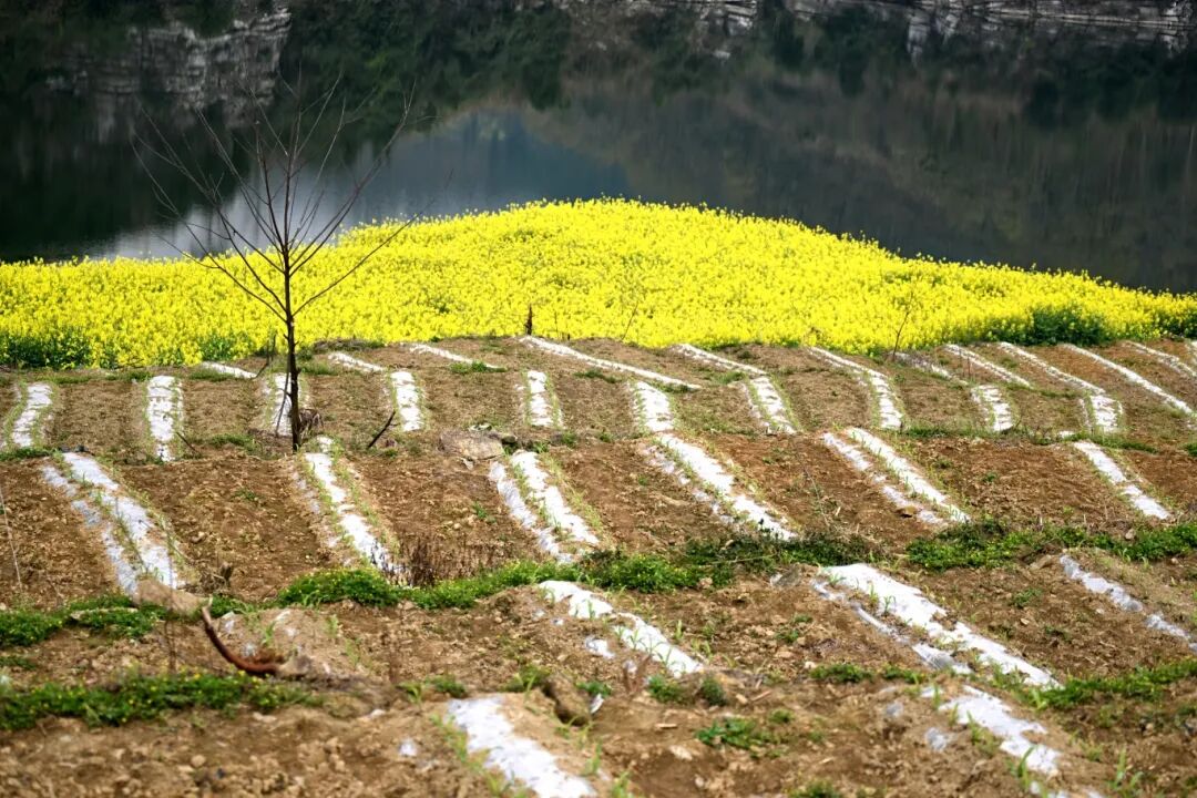 微信图片_20260312164013_2394_117.jpg