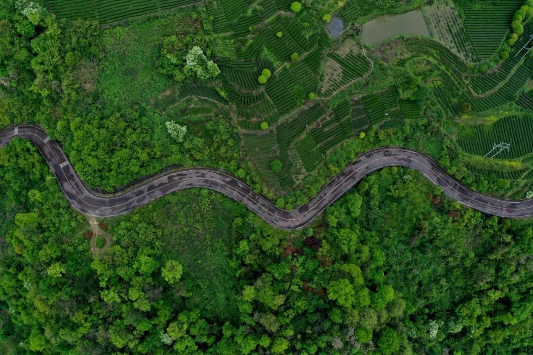 311e2856467ba37be3720423665db62a.jpg