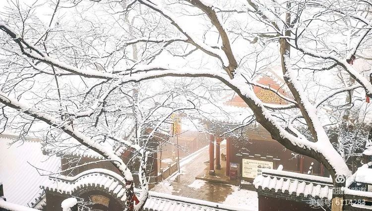 誰醉倒為誰醒到今猶恨輕離別晨起開門雪滿山雪晴雲淡日光寒【攝影】嶽