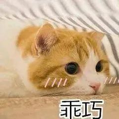 客厅冰箱放置效果图_冰箱放客厅_客厅冰箱放什么植物比较好