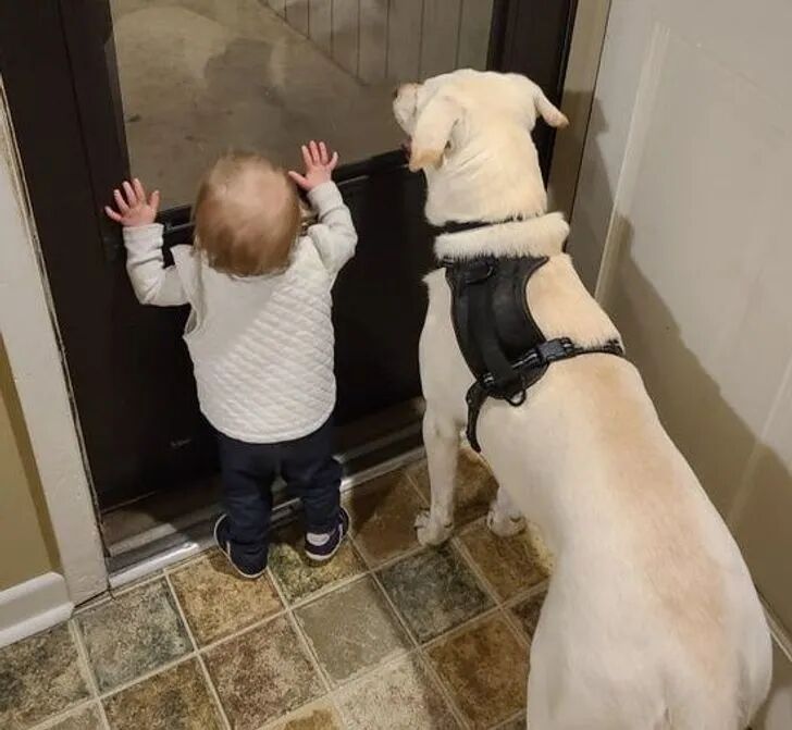 这样的组合应该没有人不爱吧?