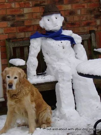 狗狗們與雪人的歡樂時光 寵物 第6張
