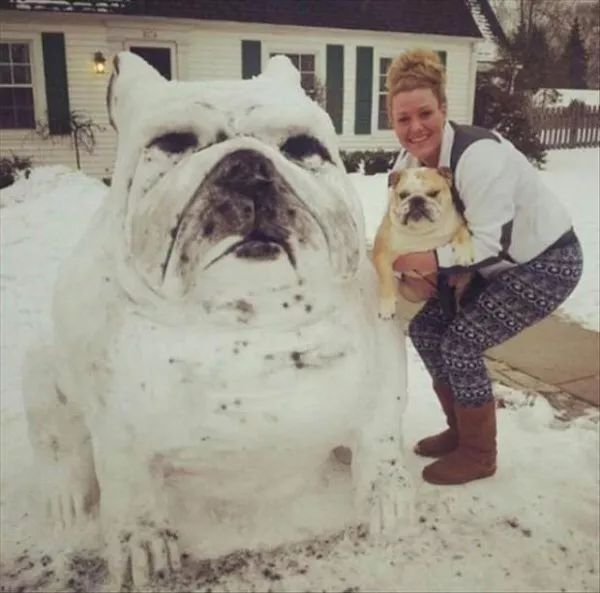 狗狗們與雪人的歡樂時光 寵物 第3張