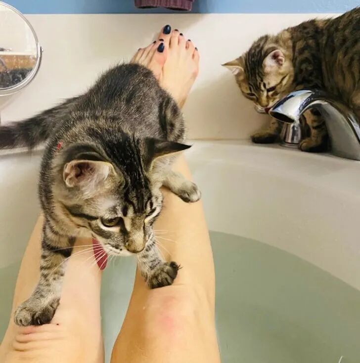 搞事情的家伙们！