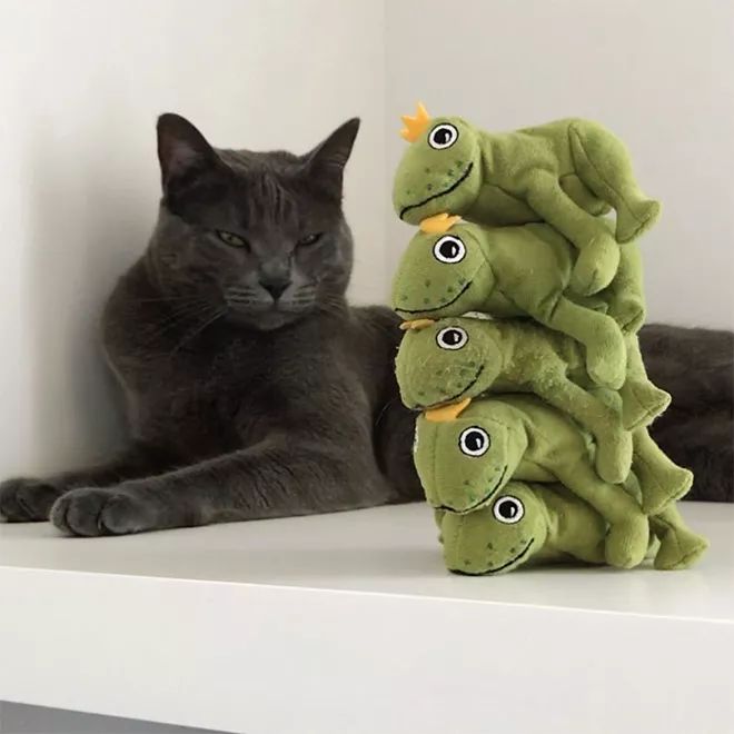 貓咪Mochi和它的青蛙玩具們 未分類 第20張