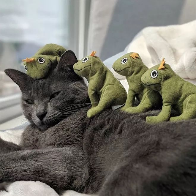 貓咪Mochi和它的青蛙玩具們 未分類 第14張