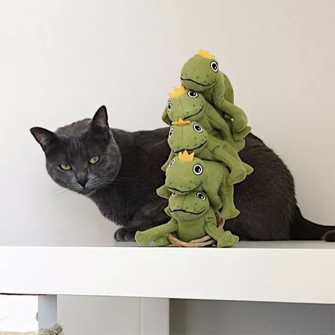 貓咪Mochi和它的青蛙玩具們 未分類 第17張