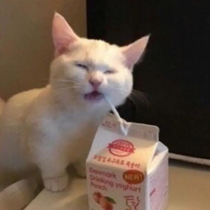 用吸管偷喝主人的水的聪明喵星人