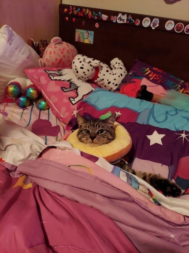 只想裹在被子里