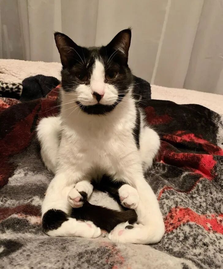 这姿势，你行吗？