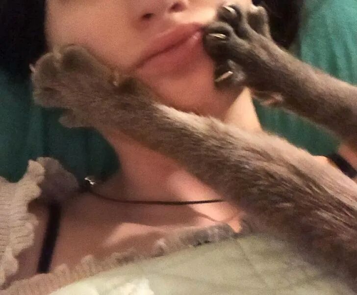 原来你是这样的喵星人