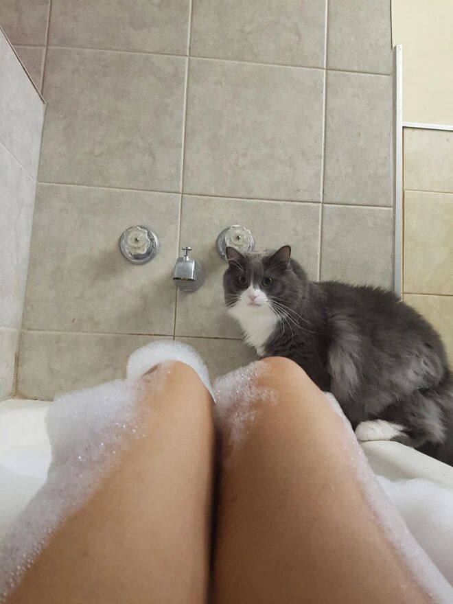 毫无隐私可言！