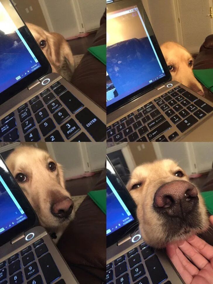 就是想粘着你，一分钟都离不开你！