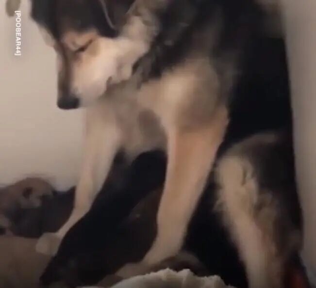 辛苦的宝妈们，照顾着他们的孩子