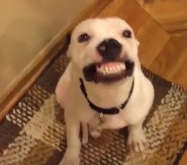 看！是谁在微笑？