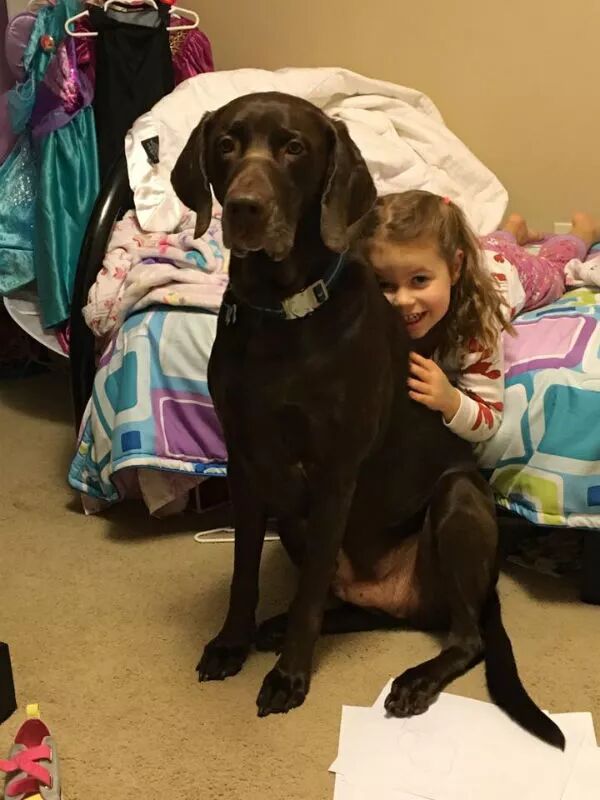 狗狗和小主人在一起的有愛畫面，太可愛啦 寵物 第11張