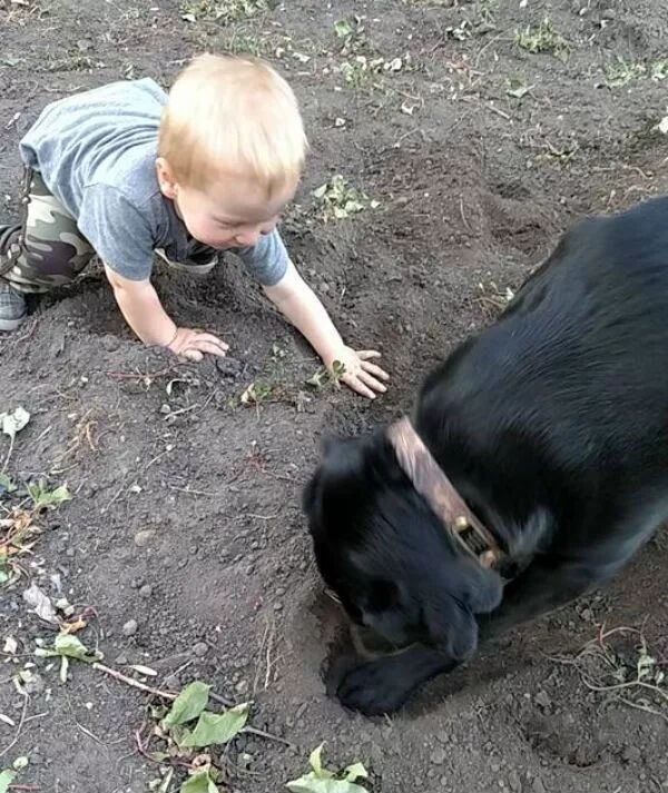 狗狗和小主人在一起的有愛畫面，太可愛啦 寵物 第2張