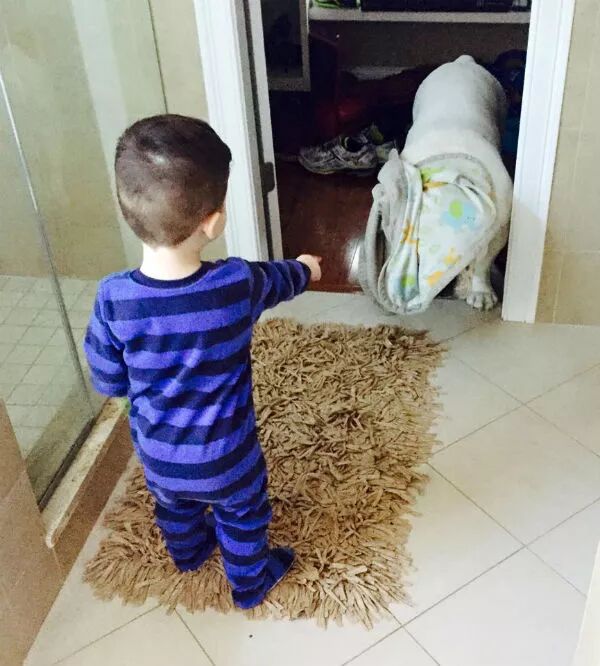 狗狗和小主人在一起的有愛畫面，太可愛啦 寵物 第10張