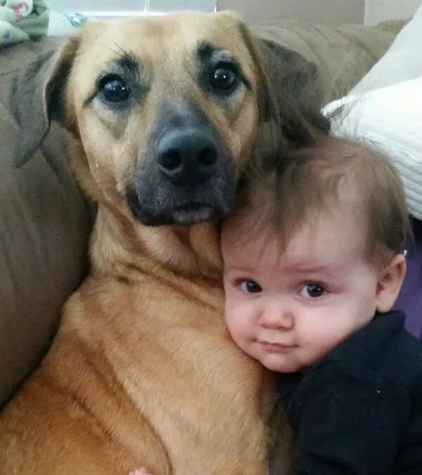 狗狗和小主人在一起的有愛畫面，太可愛啦 寵物 第7張