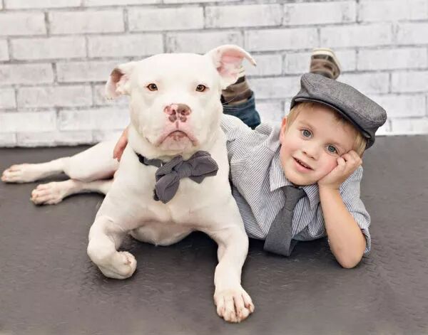 狗狗和小主人在一起的有愛畫面，太可愛啦 寵物 第9張