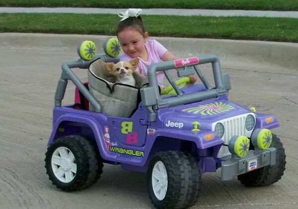 狗狗和小主人在一起的有愛畫面，太可愛啦 寵物 第6張