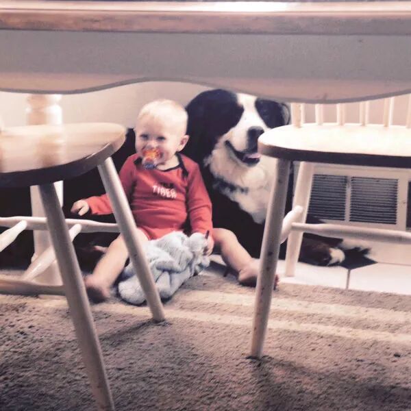 狗狗和小主人在一起的有愛畫面，太可愛啦 寵物 第13張