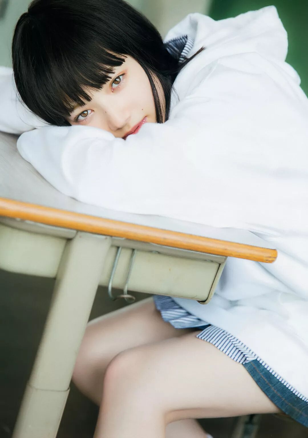 小松菜奈 恋如雨止 犬宝堡 微信公众号文章阅读 Wemp