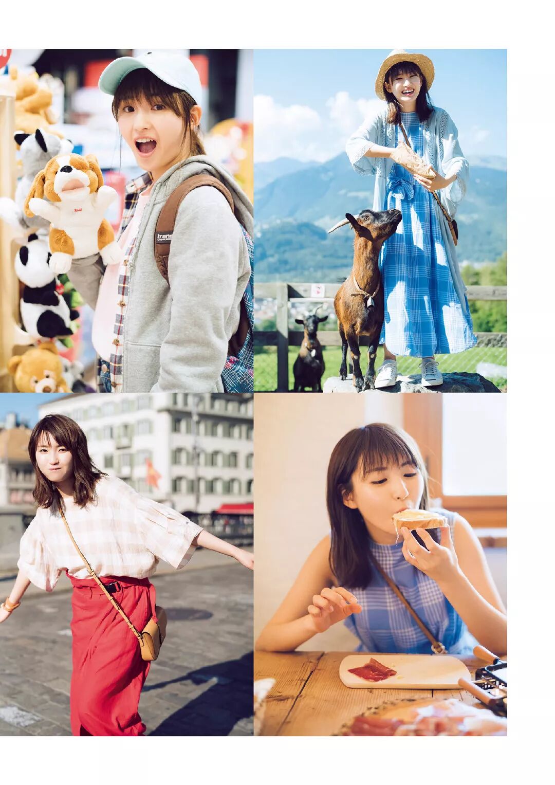 井上小百合 百合の花 犬宝堡 微信公众号文章阅读 Wemp