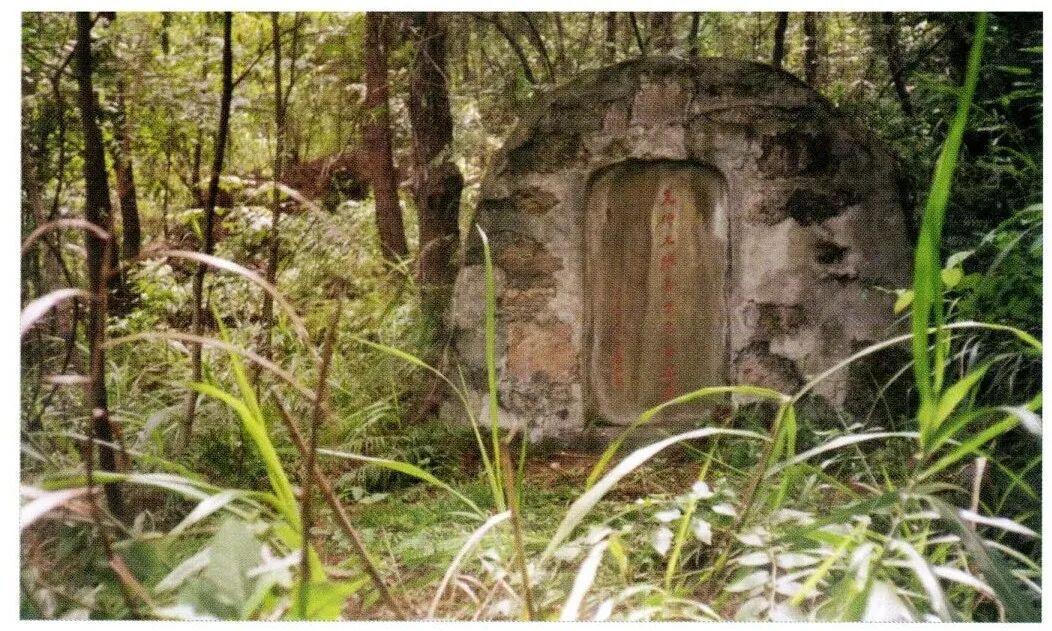 上面有张善子墓茔照片,与重庆魏仲云先生有关.