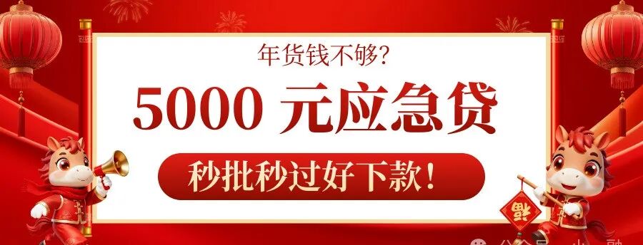 年货钱不够？5000 元应急贷，逾期过也能下
