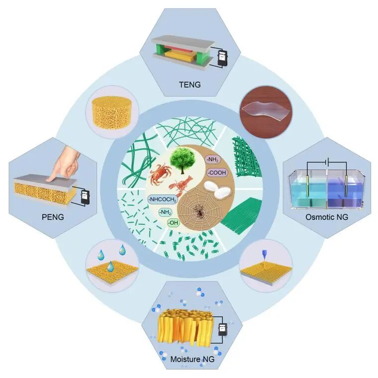 东北林大陈文帅教授和中科院纳米能源所杨亚教授等综述：基于生物聚合物纳米纤维的纳米发电机研究进展的图1