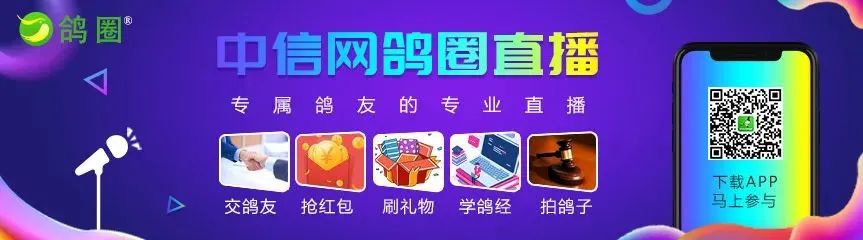 成绩心得怎么写_取得成绩经验分享_学习成绩经验心得